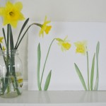 Spring daffodils in watercolor