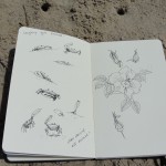 Sketching on location