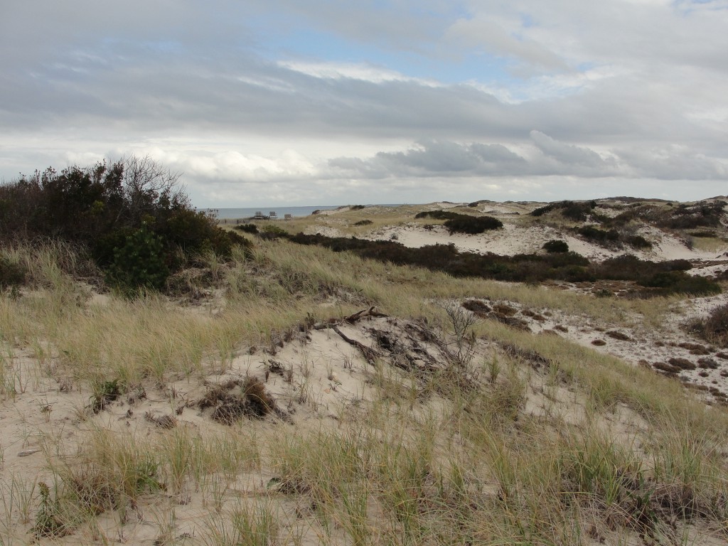 clouds and dunes by Mary Richmond