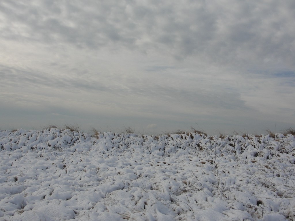 Snowy dunes by Mary Richmond