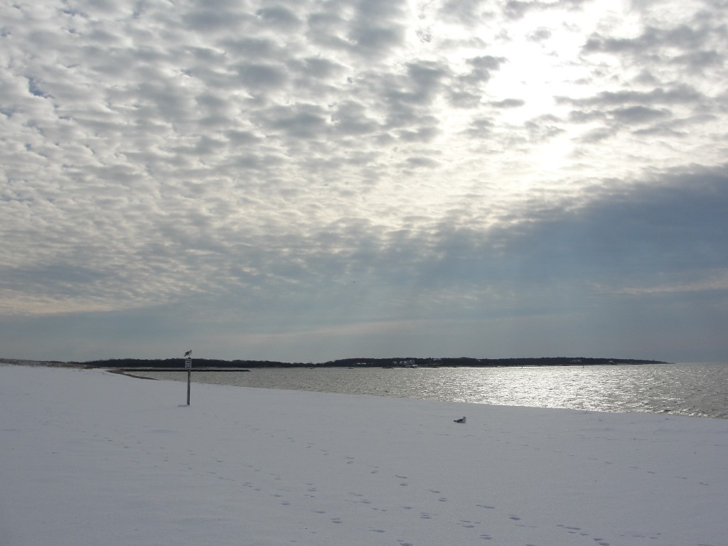 Winter beach by Mary Richmond