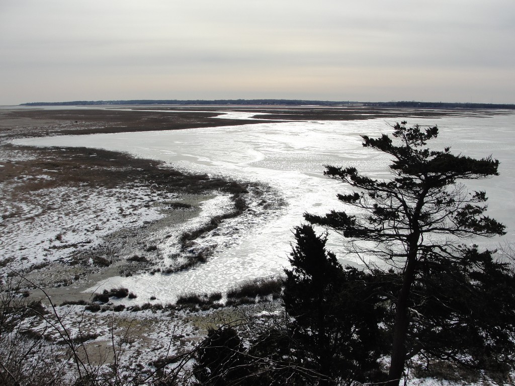Nauset Marsh iced in by Mary Richmond