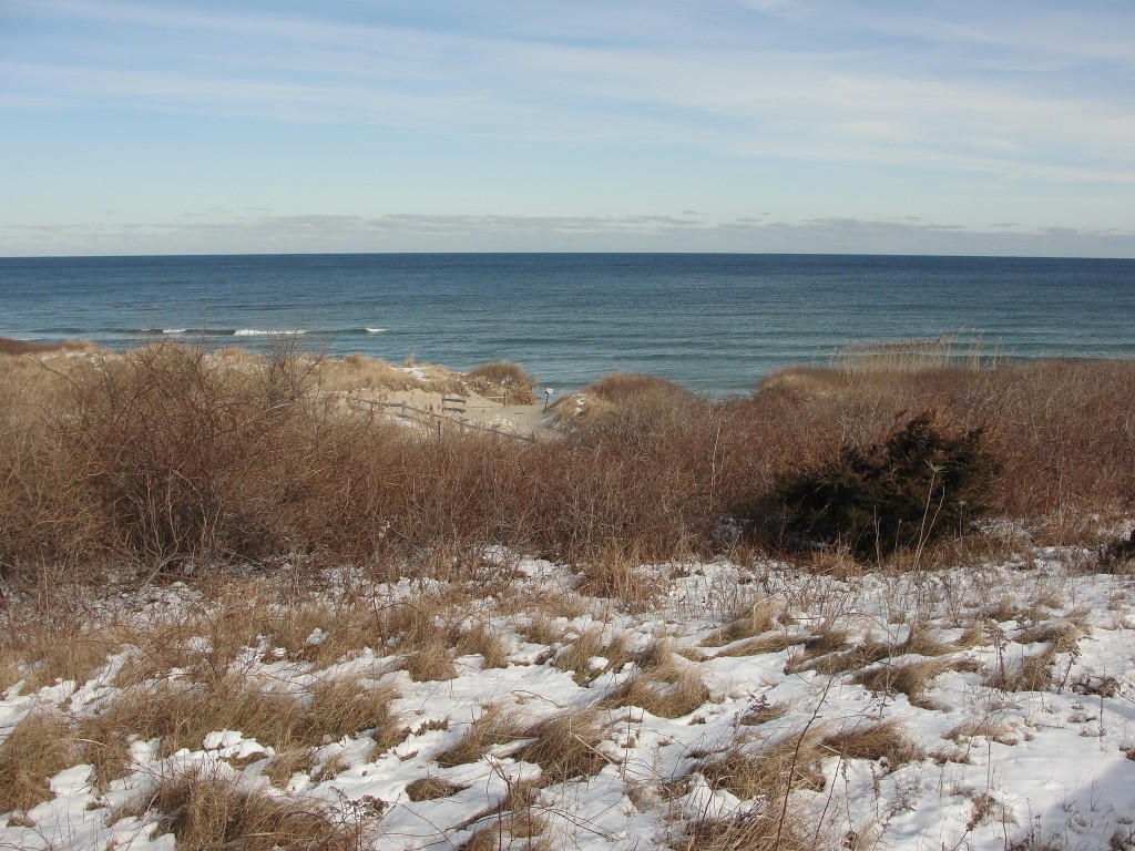 Coast Guard Beach with snow by Mary Richmond