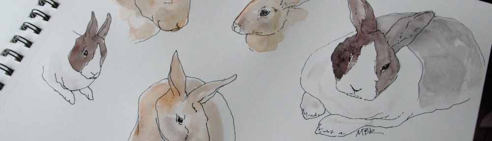 bunny sketches by Mary Richmond