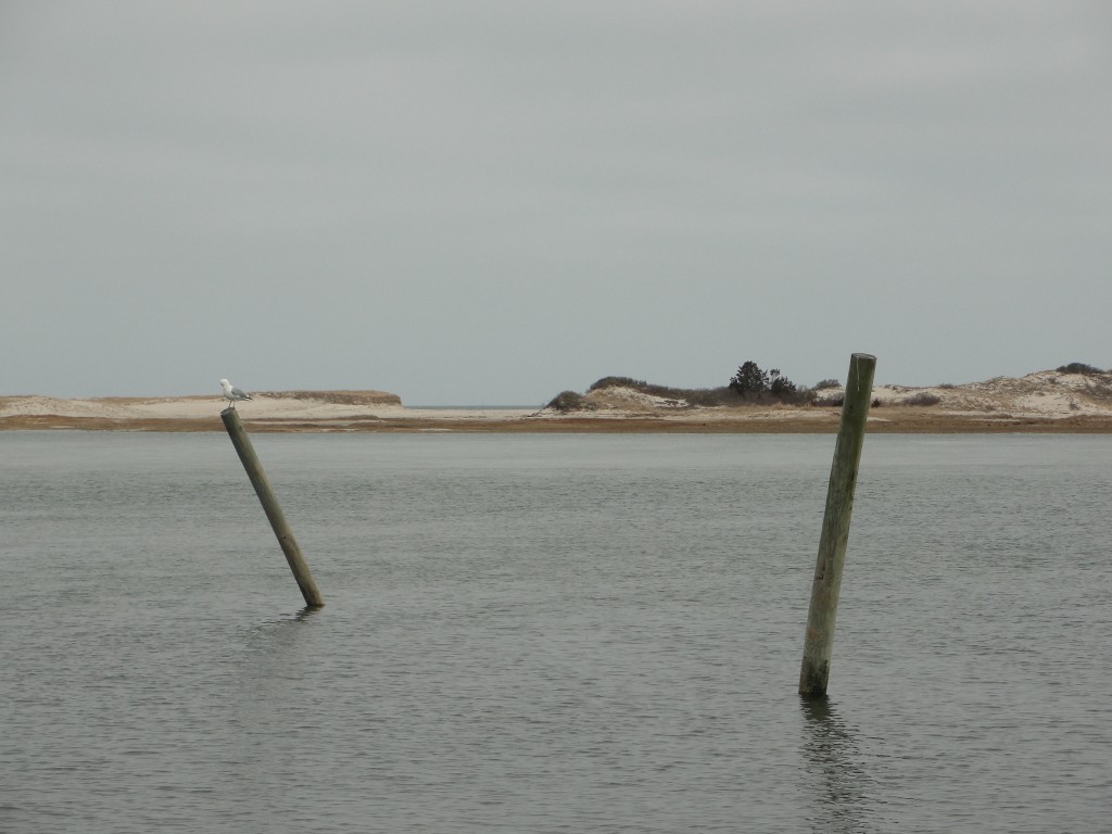 Break at Chapin Beach by Mary richmond