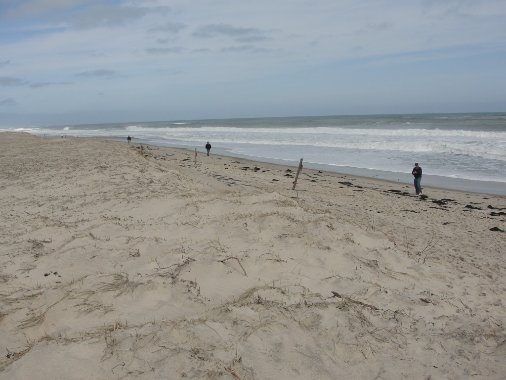Nauset Beach by Mary Richmond