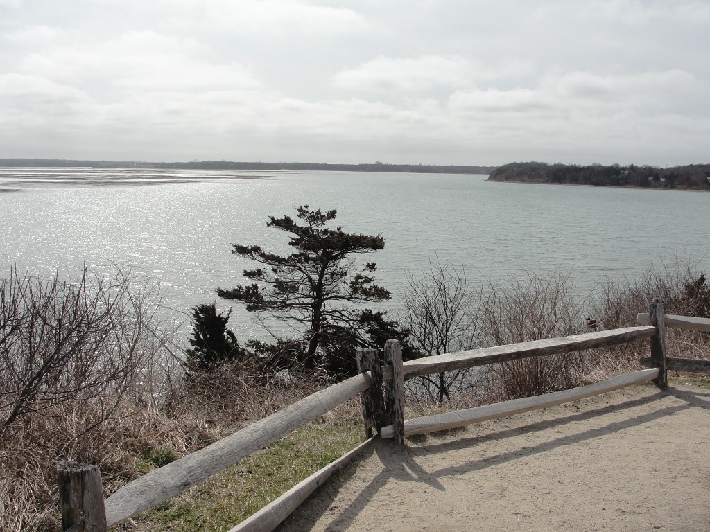 Nauset Marsh by Mary Richmond