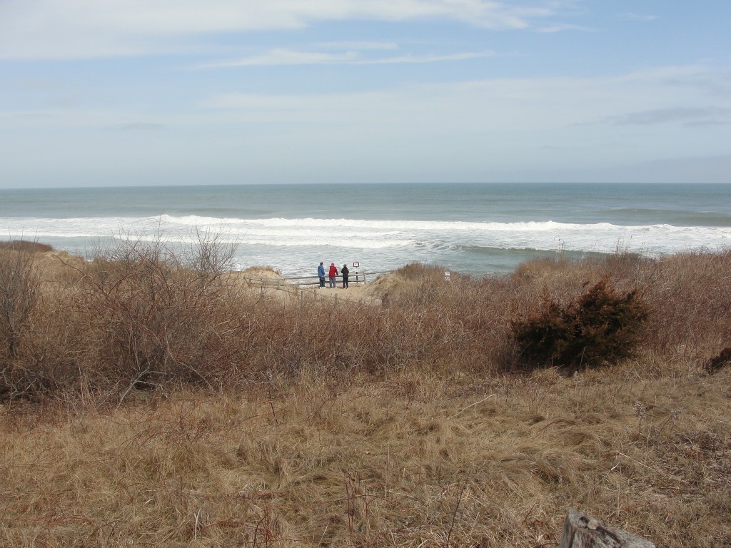 Coast Guard Beach by Mary Richmond