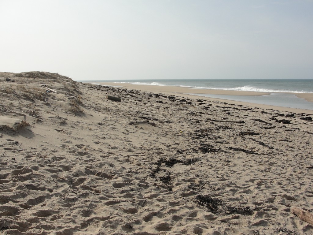 Race Point by mary richmond