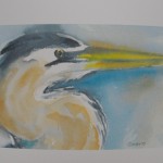 Nature Prints